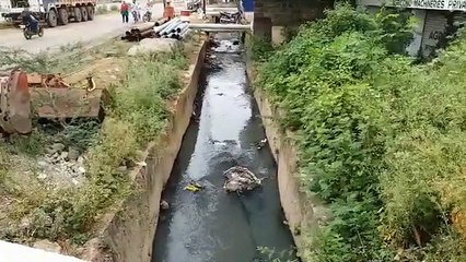 पिछले 3 महीने में मच्छर मारने के नाम पर किए गए डेढ़ करोड़ खर्च, वार्डवासियों को नहीं मिली मच्छरों से निजात