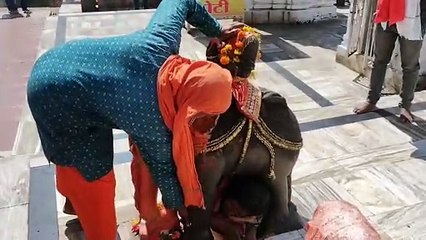 Rtu_Special_मध्यप्रदेश में यहां मौजूद है 'पाप मापी यंत्र', गजब है इस गज की कहानी, यहां जाने वाला हर व्यक्ति करता है टेस्ट