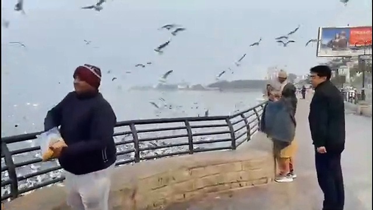 देसी विदेशी पक्षियों से आबाद अजमेर की आना सागर झील, लंबे पैर वाले पक्षी झील से हो गए अलविदा, जाने क्यों