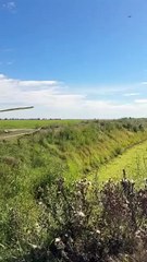 Incautan avioneta en Argentina con droga boliviana