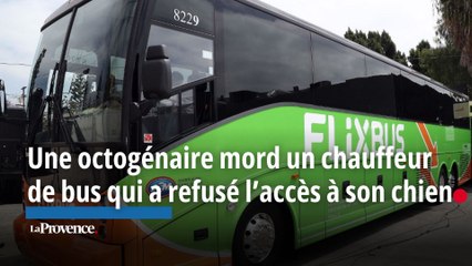 Une octogénaire  mord un chauffeur de bus  qui refusait l'accès à son chien.