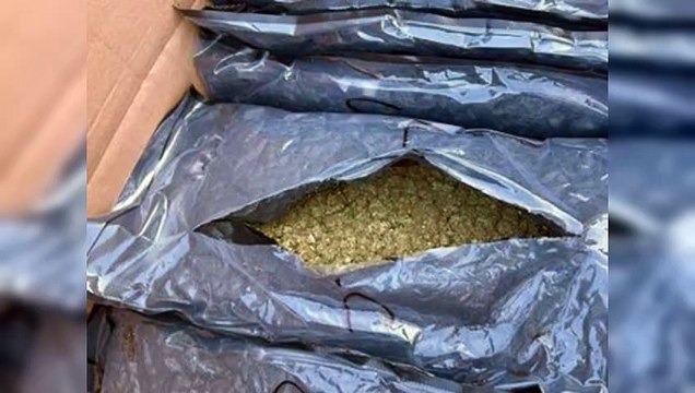 DNCD ocupa 95 paquetes de marihuana en Puerto Río Haina