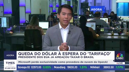 Queda do dólar à espera do 'tarifaço' de Donald Trump; veja análise de Paulo Tafner