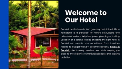 Booking the Best Hotels in Dandeli: Everything You Need to Know