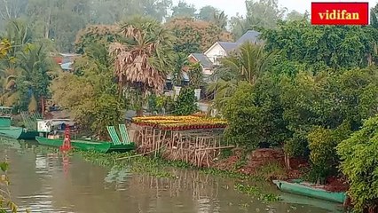 Flower Tet holiday on river