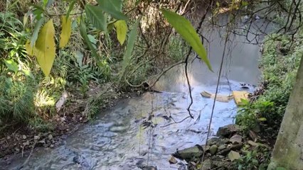 tn7-descomposicion-de-quimicos-en-incendio-de-montes-de-oca-provoca-daño-ambiental-230125