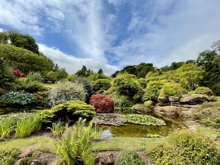 jackie picture gallery attempt (1)