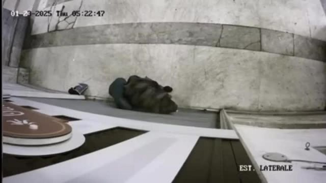 Furto con scasso in Galleria Umberto a Napoli, il ristoratore derubato ai ladri: «Costituitevi e vi assumo»