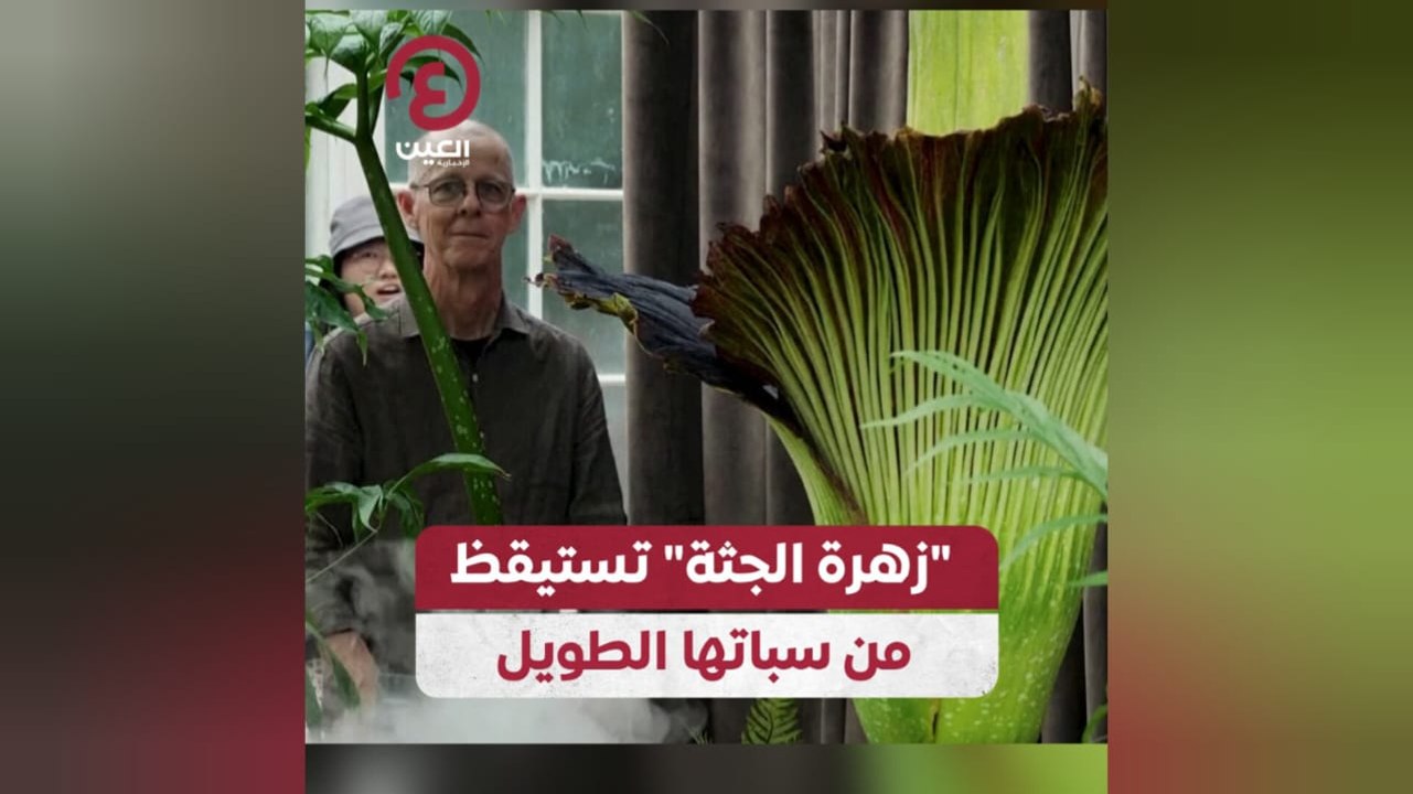 "زهرة الجثة" تستيقظ من سباتها الطويل