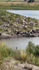 Un vehículo cayó al dique Paso de las Piedras: se desconoce la cantidad de ocupantes