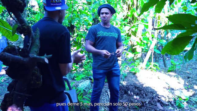 Tenia un arbol que daba huevos y mira lo que hicieron sus vecinos LOS SOCIOS SOY