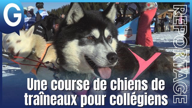 Reportage - L'Odyssée des Enfants, une course de chiens de traîneaux unique