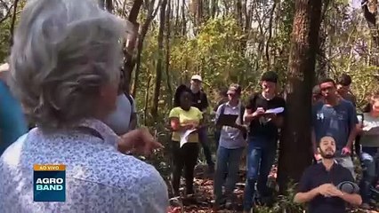 Giro Brasil: veja os destaques do agronegócio nesta quinta-feira