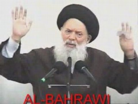 ImAm Ali السيد محمد حسين فضل الله