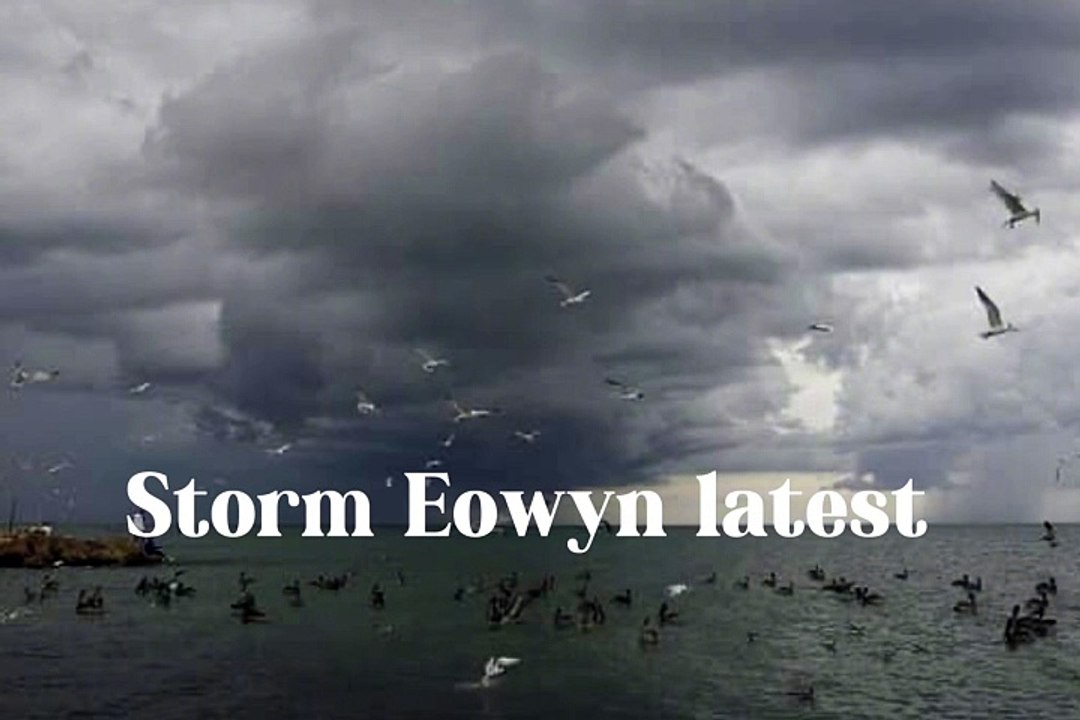 Storm Éowyn: Yellow and amber weather warnings issued for wind across Yorkshire including Leeds, York, Sheffield, Bradford, Hull and Scarborough as storm set to bring disruptions