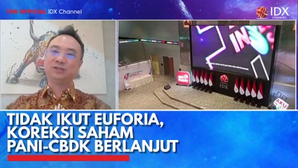 Tidak Ikut Euforia, Koreksi Saham PANI-CBDK Berlanjut