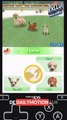 Exclusivité Dailymotion sur Nintendogs: Lab & Friends
