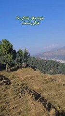 astaghfar ki Fazilat استغفار کی فضیلت #shorts #ytshort #youtubeshorts #short #trending #yt #ytshorts