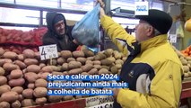 Agricultores romenos desistem de cultivar batatas devido ao aumento de custos