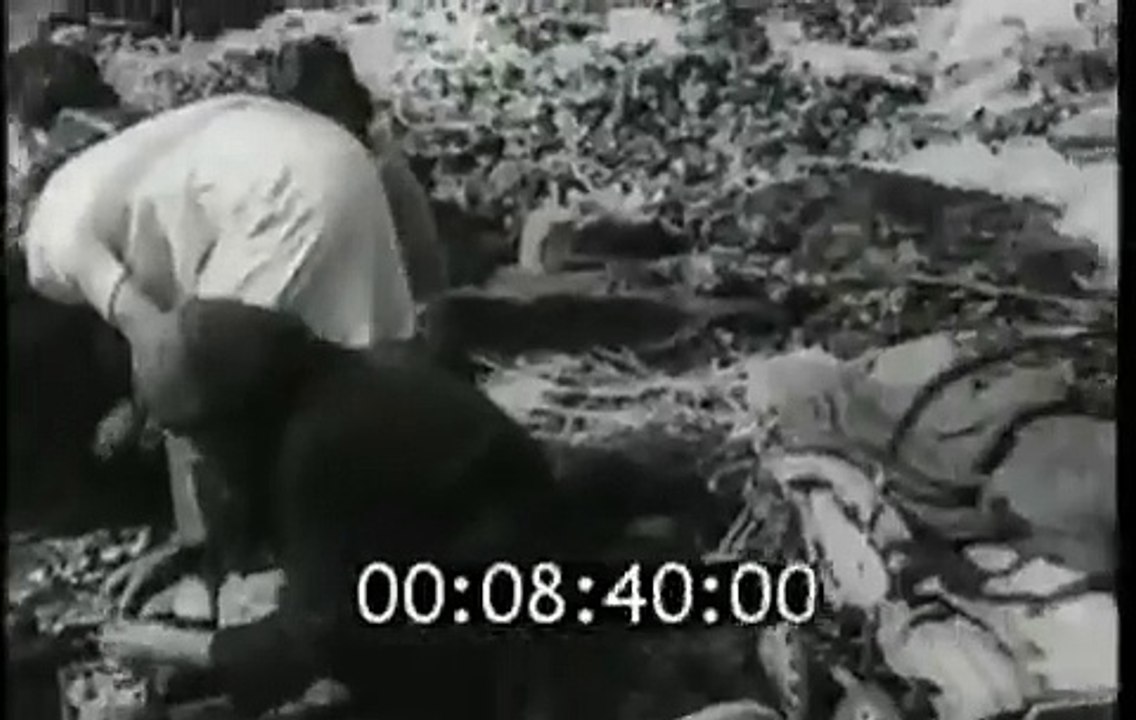 1954 г. Советская пропаганда о жизни трудящихся в Западном и Восточном Берлине
