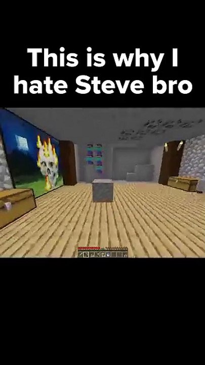 This i why i Hate Steve