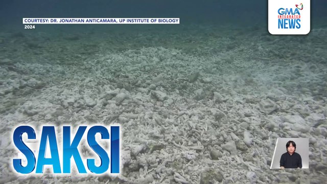 Gobyerno ng Pilipinas, target maihain ngayong taon ang kaso kaugnay sa pagkasira ng yamang-dagat sa WPS dahil umano sa mga aktibidad ng China DOJ Sec. Remulla | Saksi