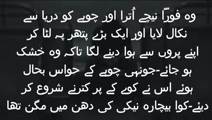 Difference Between Real and Fake thing | Asli Aur Nasli Ki Pehchan