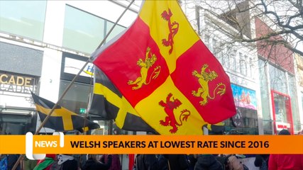 Lowest rate of Welsh speakers in almost a decade
