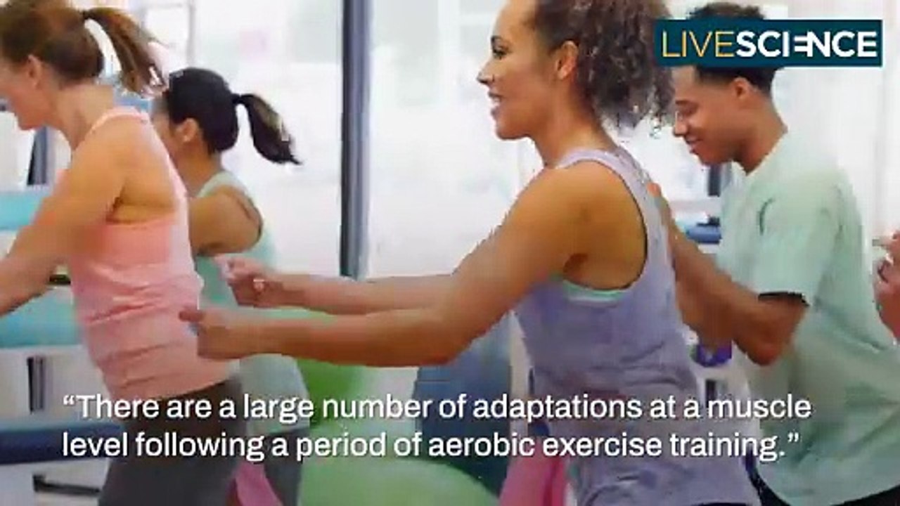 How Running Changes Your Body
