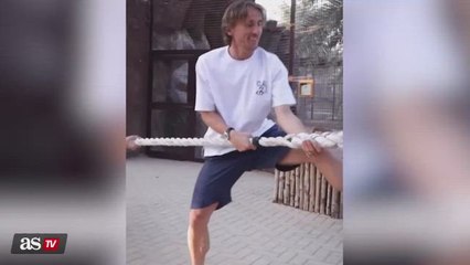 Modric goes viral in epic showdown with a tiger to test who's stronger