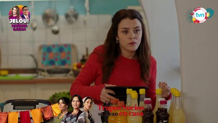 NovelonesTVN: Almas de fuego