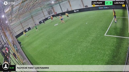 Faute de Theo - LES FUMIERS