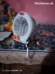 Funniest Moments 2025 🤣 | Hilarious Comedy Sh