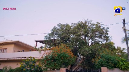 Mann Marzi Episode 15 - [Eng Sub] - Haroon Shahid - Fatima Effendi - Humayoun Ashraf - 23rd Jan 2025