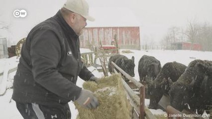 US-Bauern fürchten einen Handelskrieg mit China