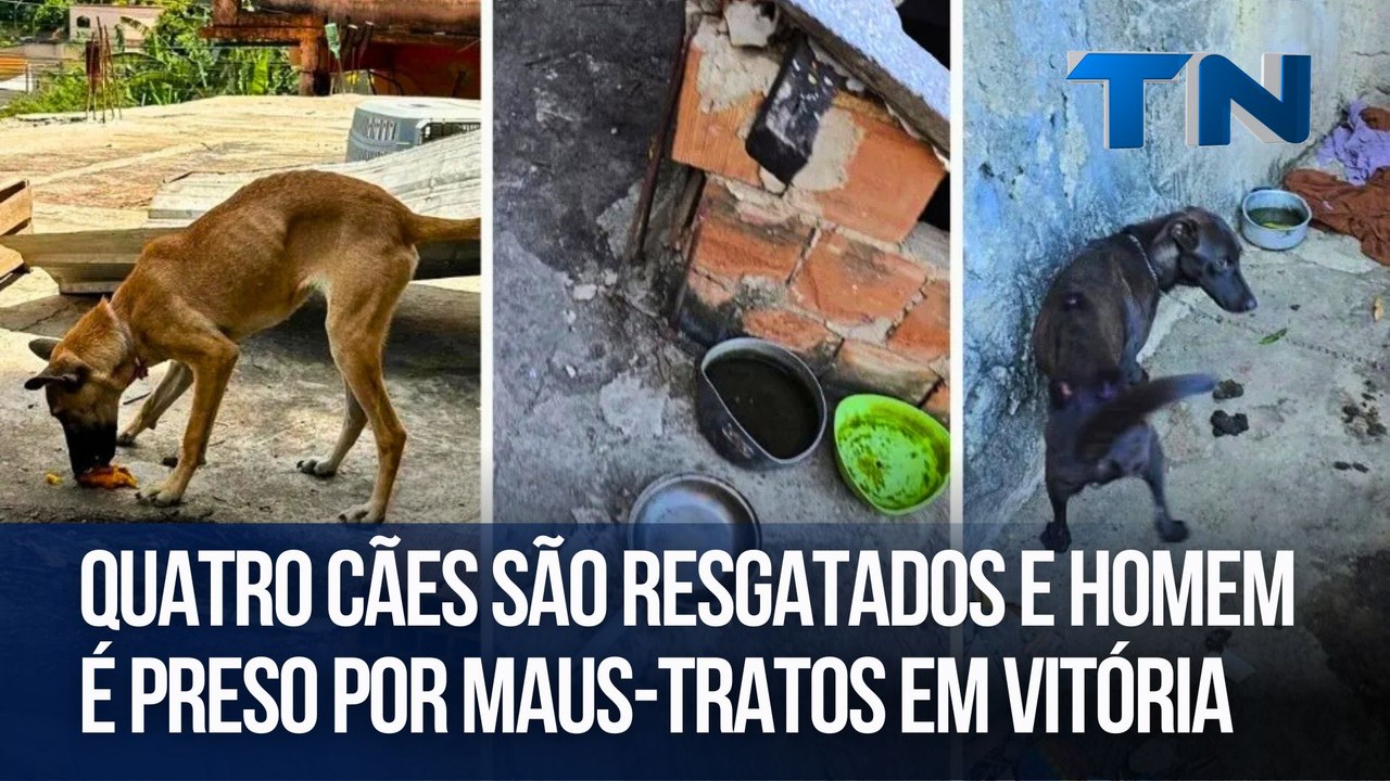Quatro cães são resgatados e homem é preso por maus-tratos em Vitória