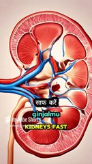 Detox Kidneys Fast Naturally!! #shorts #kidneydetox  #health