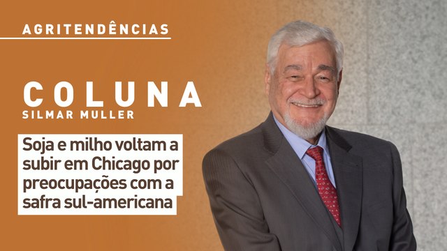 Soja e milho voltam a subir em Chicago por preocupações com a safra sul-americana
