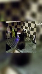 Why This Drama Isn't Worth Your Time