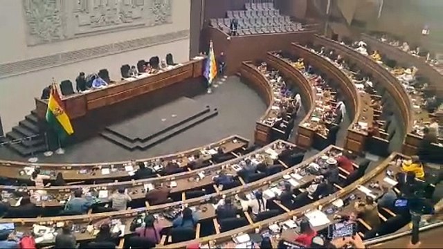 Diputados aprueban en grande el proyecto de ley 275 de crédito del BID