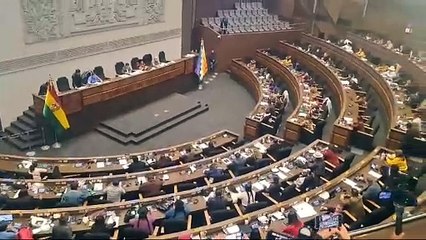 Diputados aprueban en grande el proyecto de ley 275 de crédito del BID