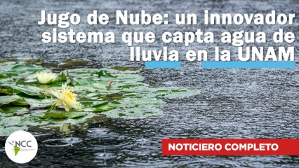 Jugo de Nube: un innovador sistema que capta agua de lluvia en la UNAM | 728 | 27 ene. - 2 feb. 2025
