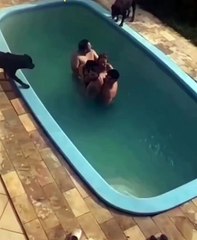 VÍDEO: Família aluga casa e é surpreendida ao ser cercada por rottweilers em piscina
