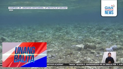 DOJ, balak maghain ng environmental case kaugnay sa pagkasira ng yamang-dagat sa West Philippine Sea | Unang Balita