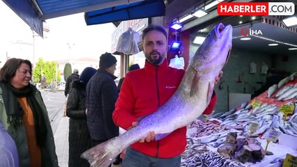 Karadeniz'de Dev Minekop Avlandı, 6 Bin TL'ye Satıldı