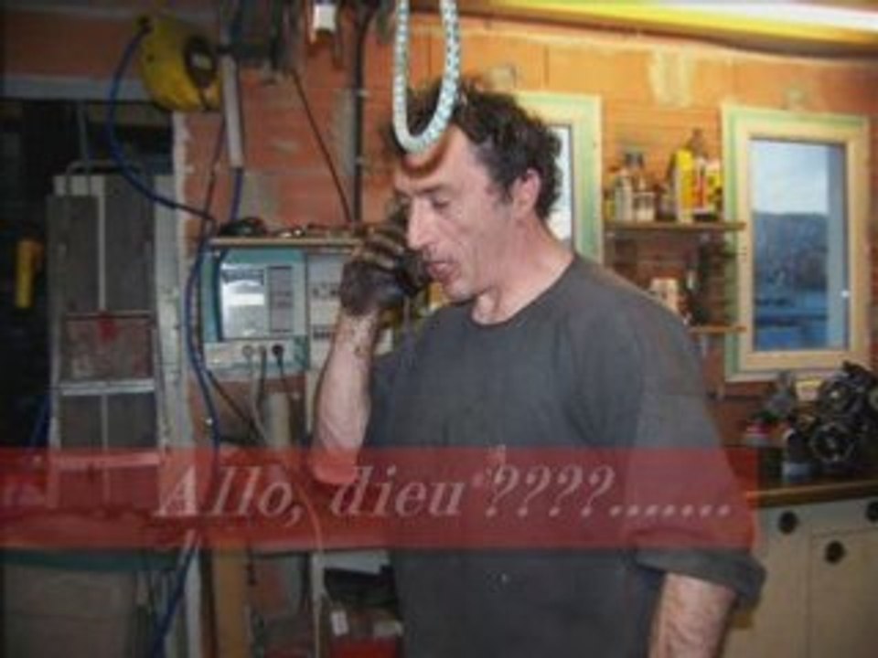 Adaptationallumage_0002