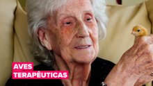 Aves terapêuticas