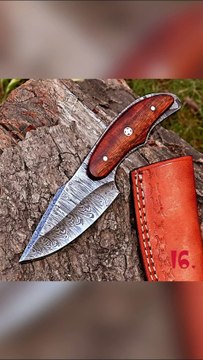 Blade of the Wild: Wilderness Knives for Hunting, Fishing, and Outdoor Exploration. Avail all 30 product links mentioned in description.