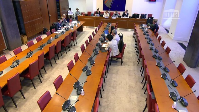 Manquements des politiques de protection de l’enfance : Auditions de représentants des conseils départementaux de l’Isère et des Deux-Sèvres - Jeudi 23 janvier 2025