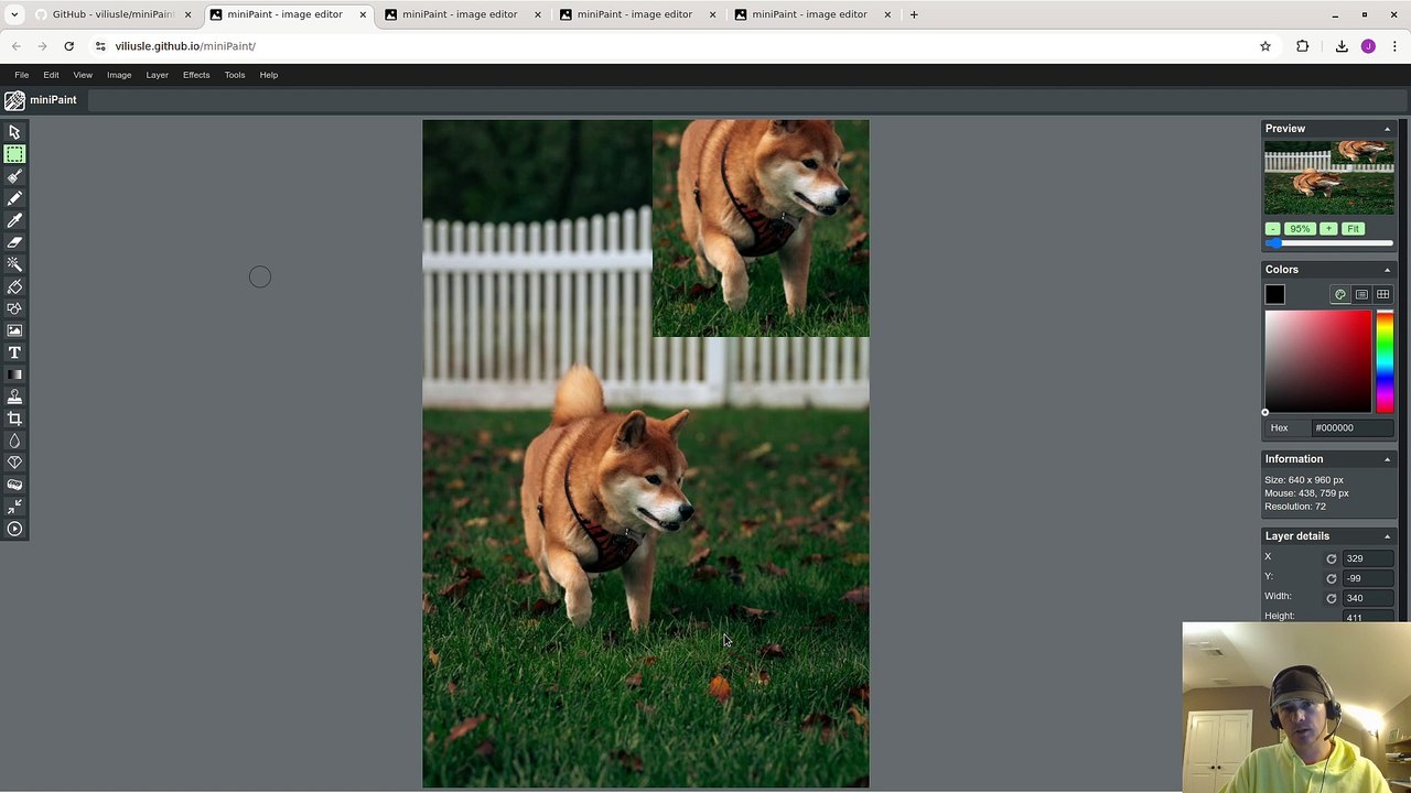 miniPaint: Free Online Image Editor